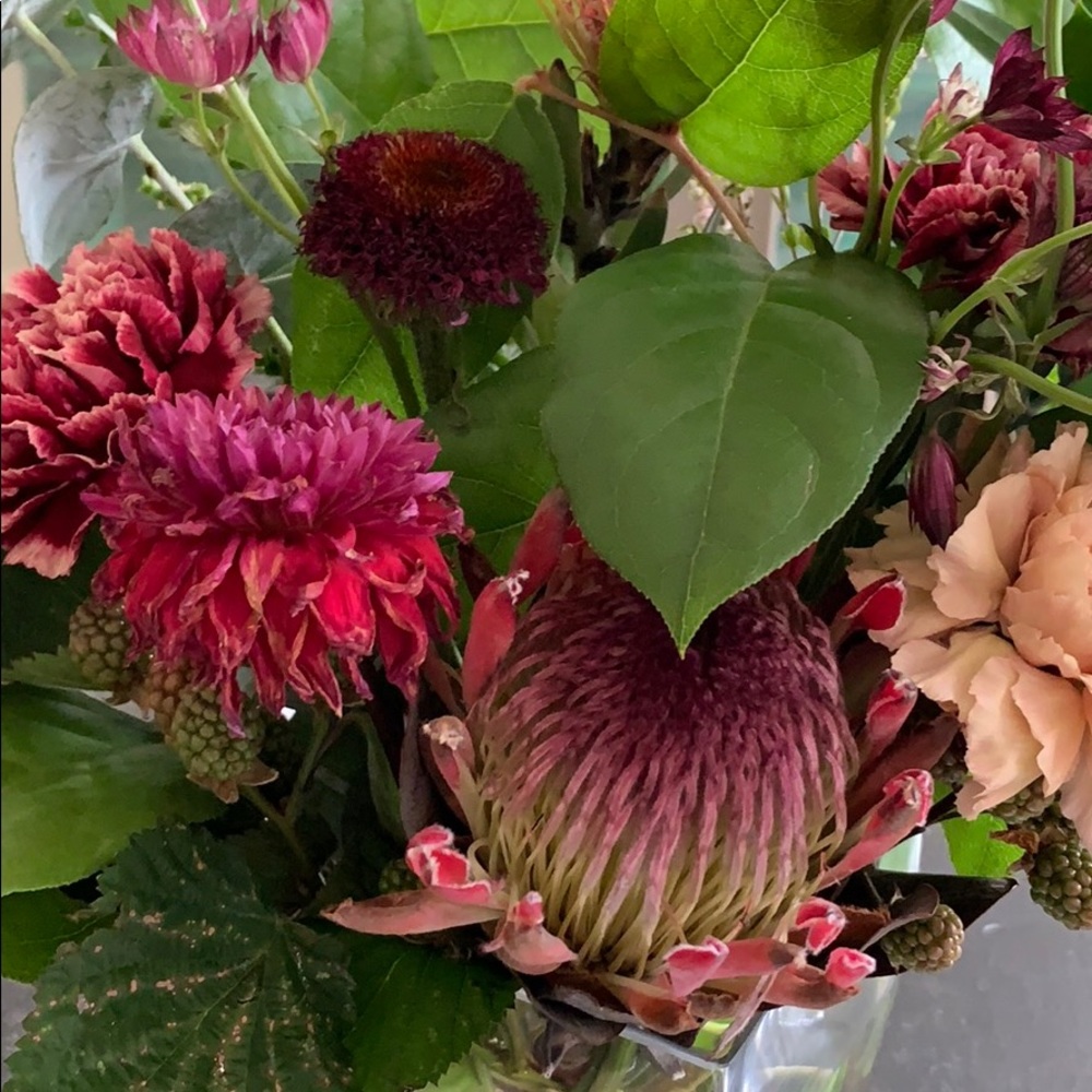 Meet your Posher, Nicole